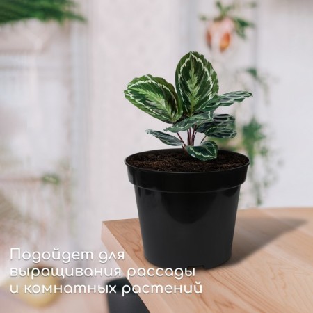 Pot for seedlings, 5 l, d = 22 cm, h = 18 cm, black, greengo-2