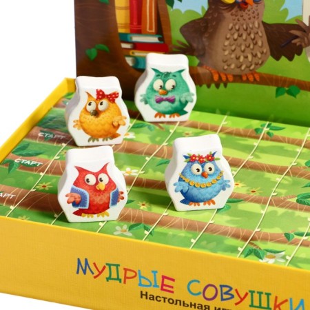 Road game "Wise owls"-5