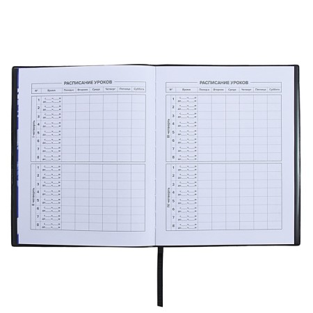 Universal Diary Grade 1-11, 48 sheets "Urban", a soft cover of PVC, embossing with foil, pocket, liesa, an offset unit-6