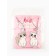 Suspens-non-missiles "Cute kittens" 11 x 14 cm