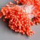 Stamens for flowers "droplets glossy orange" set 300 pcs length 6 cm