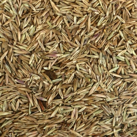 Lawn "Beauty", "Mauritan", 1 kg-3
