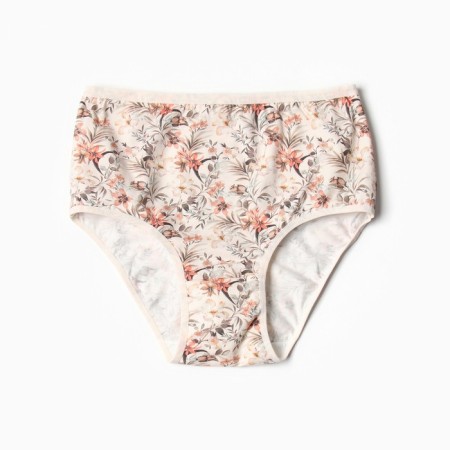 Panties women's slips Miss Beautiful, white/brown color, 4xl (52-54)