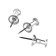 Power buttons Globus, 50 pcs., Transparent