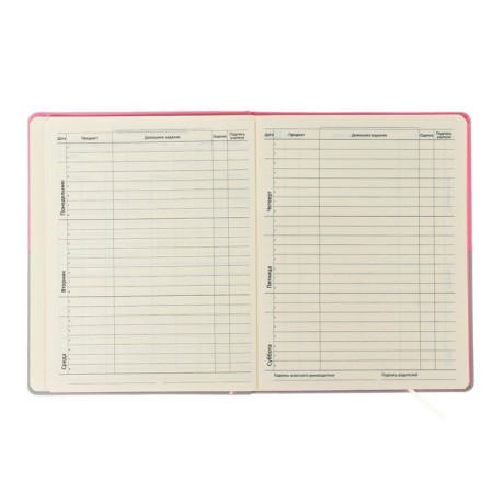 Universal diary for grade 1-11 CAT, hard cover, artificial leather, silk-screen printing, liesse, 80 g/m2-6