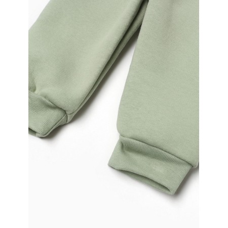 Costume: sweatshirt and pants crumb I Dino, height 74-80, green-11