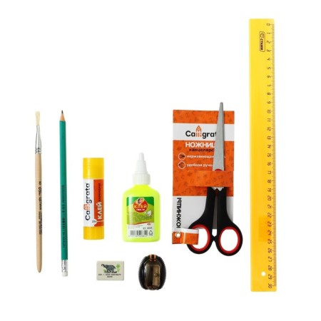 Labor folder A4, 325 x 230 x 25 mm, lightning around, folding bar, plastic, PTR-1 "animals", with a full of 10 items-12