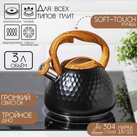 A kettle with a stainless steel whistle Magistro Heat, 3 L, TRS, Induction, Soft-Touch Hand, Black Color Black
