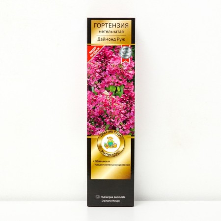 Hydrangea blizzard suite "Diamond Ruzh" 1 pc, tube, spring 2025