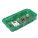 Mini-Pirate for seedlings: coconut tablet D = 3 cm (11 pcs.), Greenhouse 24 × 12 cm, jiffy