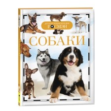 Children's Encyclopedia 