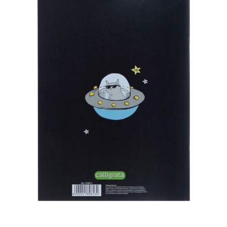 A4 notebook, 96 sheets in the Calligrata "UFO" cage, covered cardboard, OFSET block-2