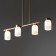 Suspended lamp Freya Fr5446PL-04BS Kamelia, 880x160x680 mm, E14, 4x40W, brass color