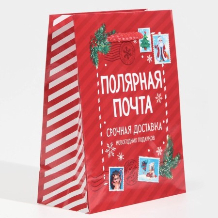 Packet Laminated Vertical Polar Mail, S 11.5 x 14.5 x 5.5 cm, New Year-1