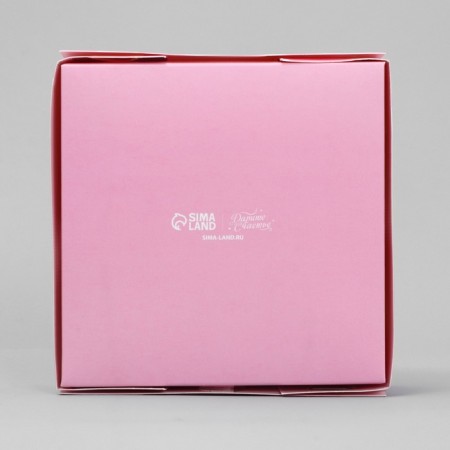 Box for sweets, confectionery packaging, 4 cells, “Favorite Sweet”, 10.5 x 10.5 x 3.5 cm-3