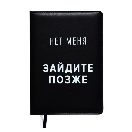 Leduced Diary A5, 160 sheets, Devente.message. NOT ME!, Firmly cover of artificial leather, lies, block 70 g/m2