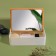Boxing for storing cosmetic supplies "Bamboo", with a mirror, 4 sections, 18 × 13 × 5 cm, white/brown color