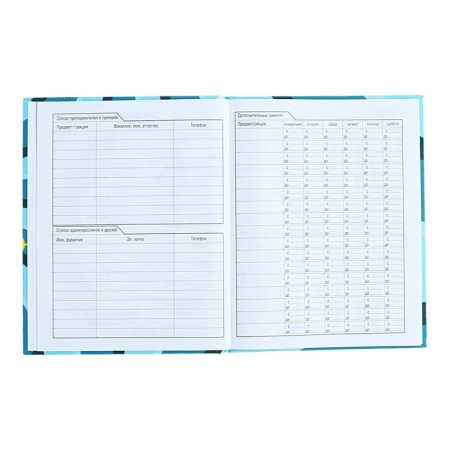 Diary for grades 1-11, solid cover "Vlad A4", 40 sheets, glossy lamination-4