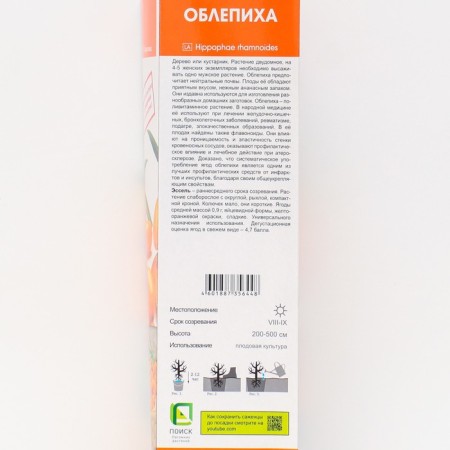 Sequeve "Essel", 1 pc, tube, spring 2024-1