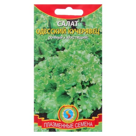 Salad Salad "Odessa Kucheryavets", 0.5 g