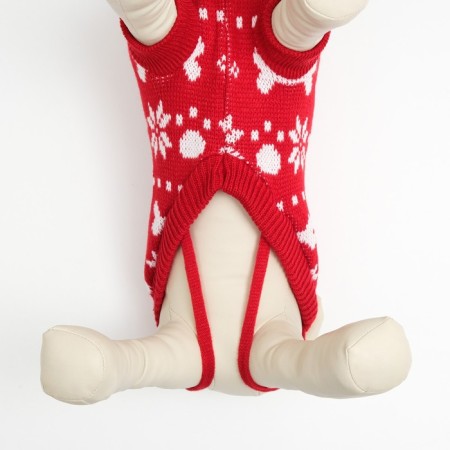 Sweater "Bones-snow", size 14 (DS 32-35, OG 35-45, Osh 22-26 cm), red-4