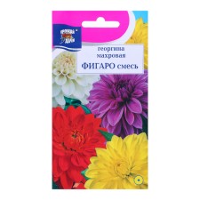 Georgin's flowers mixture 