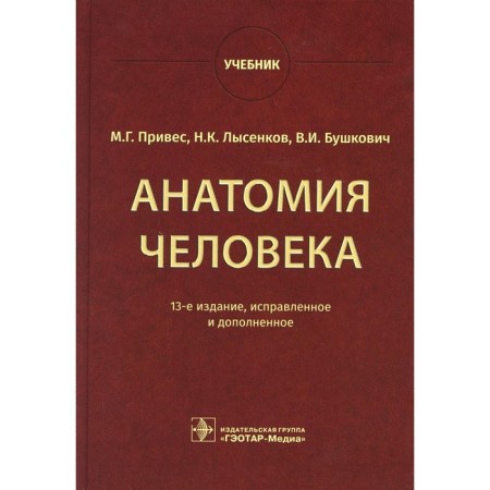 Human anatomy. 13th edition, corrected and supplemented. Highlight M.G., Lysenkov N.K., Bushkovich V.I.