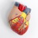 Match "Human breasts" collapsible 27*20*11cm