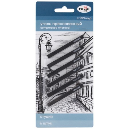 Coal pressed gamma "Studio", soft, square, 6pcs., Blister, euro suspension