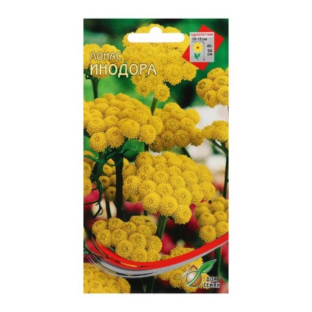 Flowers of Lonas "Inodora", 140 pcs