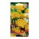 Flowers of Lonas "Inodora", 140 pcs