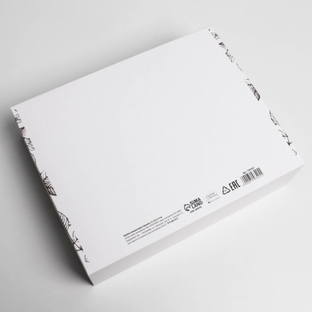 Bearbox Gift Two -way folding, packaging, “BB”, 31 x 24.5 x 8 cm-3