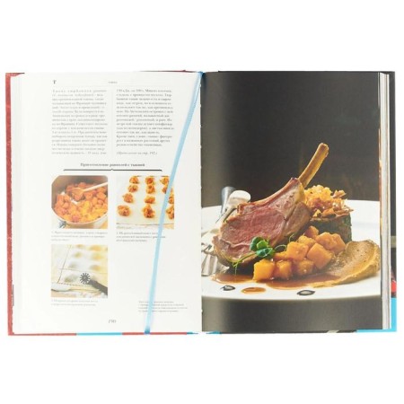 Gastronomic encyclopedia Laruss. Volume 13-1
