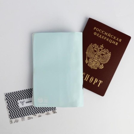 Hello Pandastic Winter Air passport cover.-3