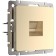 Ethernet WL11-RJ-45 socket, champagne color