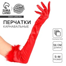 Carnival accessories with feathers, red color