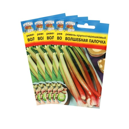 Sede rhubarb large -scale "Magic wand", set 5 pcs