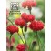 Vasilen seeds "Cherry Crown", 0.2 g
