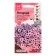 Petunia flowers "Shock Wave Pink Wein F1", 5 pcs