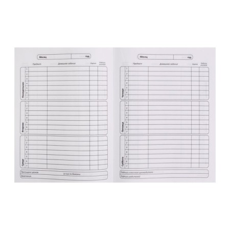 Universal diary for grades 1-11 Aquarium, hard cover, matte lamination, cheat sheet, 48 sheets-4