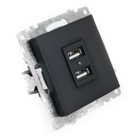 2-seater USB (mechanism), 250V, 2.1A, series of Catherine, GLS10-7115-05, black-1
