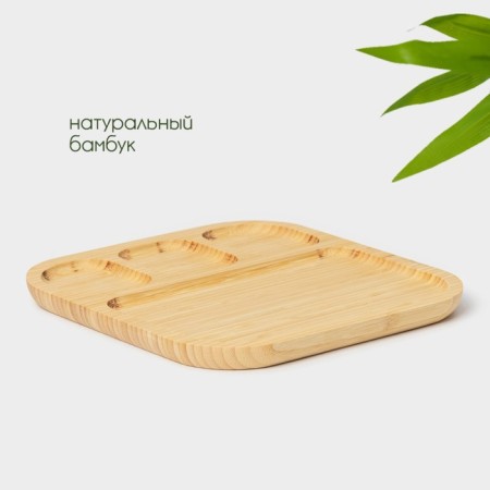 Menzhitsa Dolyana Striata, 4 sections, 20 × 20 × 1.5 cm-1