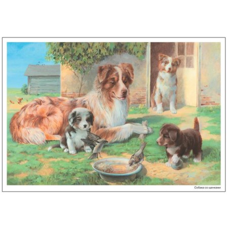 Visual material. Pictures from the life of pets. 3-7 years. GEF.-2