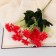 Bouquet "Chrysanthemum Counsel Selebret" 4x25 cm, mix