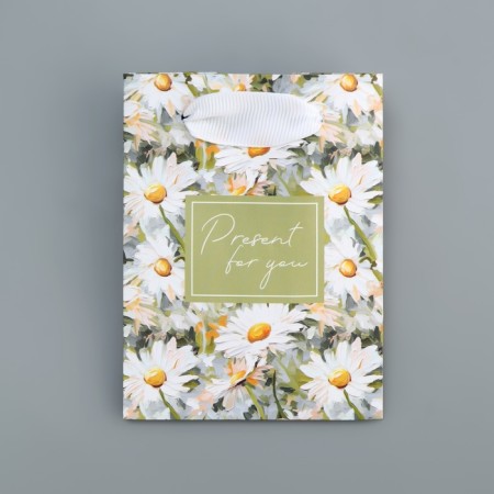 Gift laminated package, packaging, Pressent, 9 x 12 x 6.5 cm-4