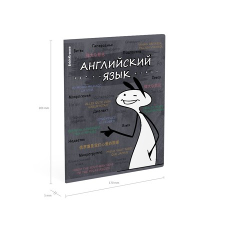 Subject notebook, 48 sheets, cage, English Erichkrause "Chubrik", plastic cover silkography, Blok Offset 100%, information block-6