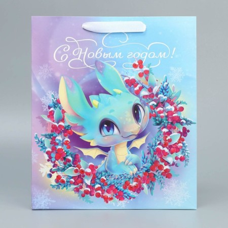 Laminated vertical package Happy New Year, ML 23 x 27 x 11.5 cm, New Year-4