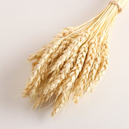 A set of dried flowers "wheat", a ban 35-40 pcs, length 55-65 (+/- 6 cm), bleached-2