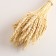 A set of dried flowers "wheat", a ban 35-40 pcs, length 55-65 (+/- 6 cm), bleached