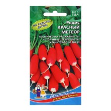 Seeds Radis 